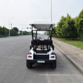 Ce Approved Electric Golf Cart with 6 Seater